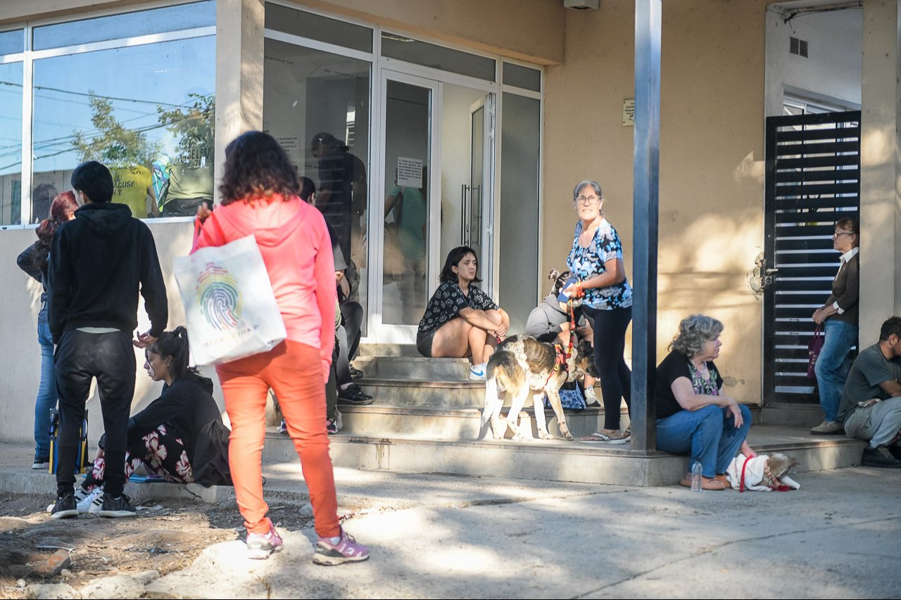 Se reprograman las actividades de castración y desparasitación de animales