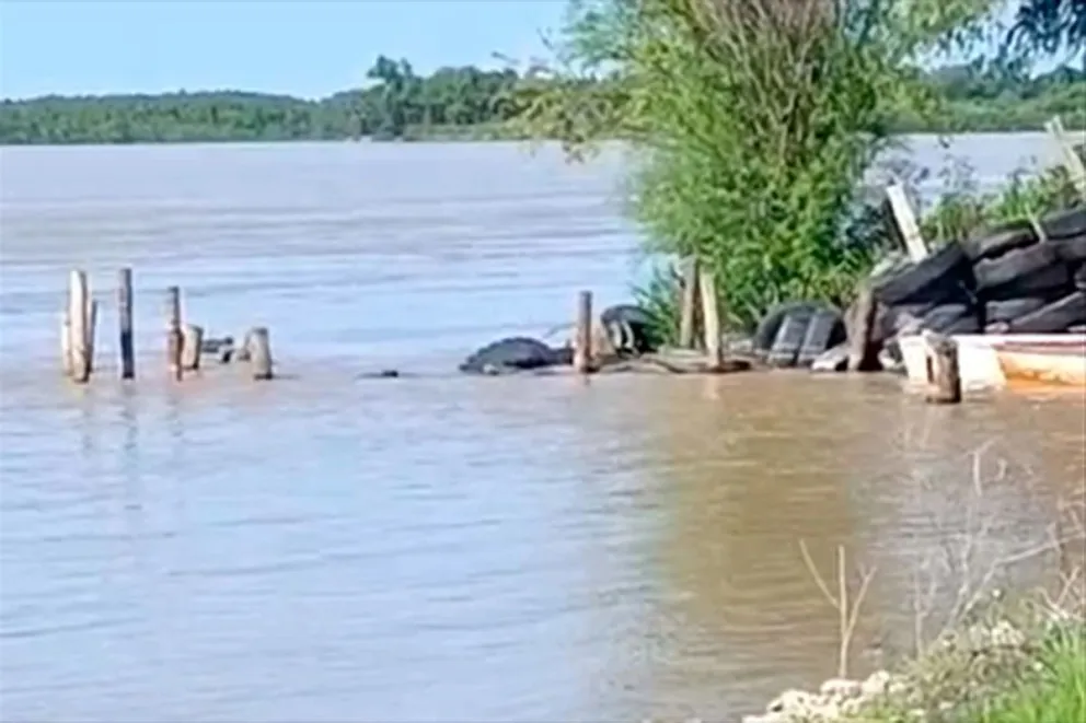 Buscan a joven que cayó al río Paraná en el Parque Costero cuando pescaba con su familia