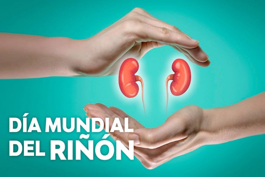 En el Día Mundial del Riñón, cuáles son las medidas de prevención y cómo se trata En el Día Mundial del Riñón, cuáles son las medidas de prevención y cómo se trata