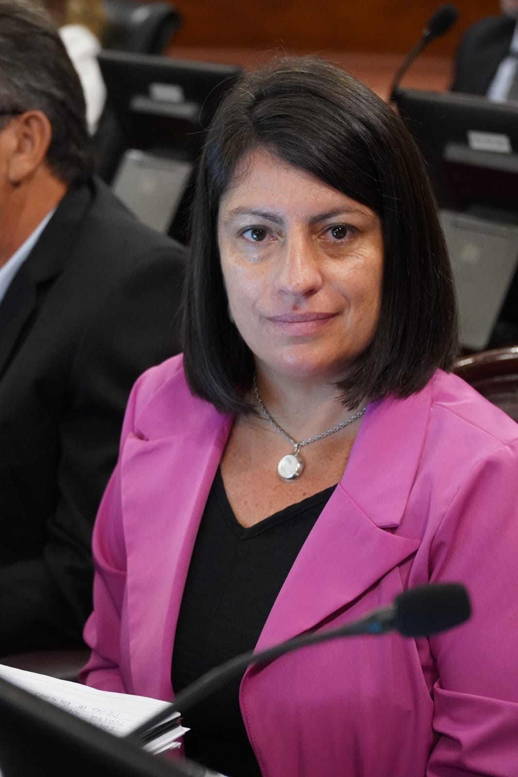 Este miércoles Diputados comienza a tratar el Proyecto de Ley de Reiterancia Delictiva