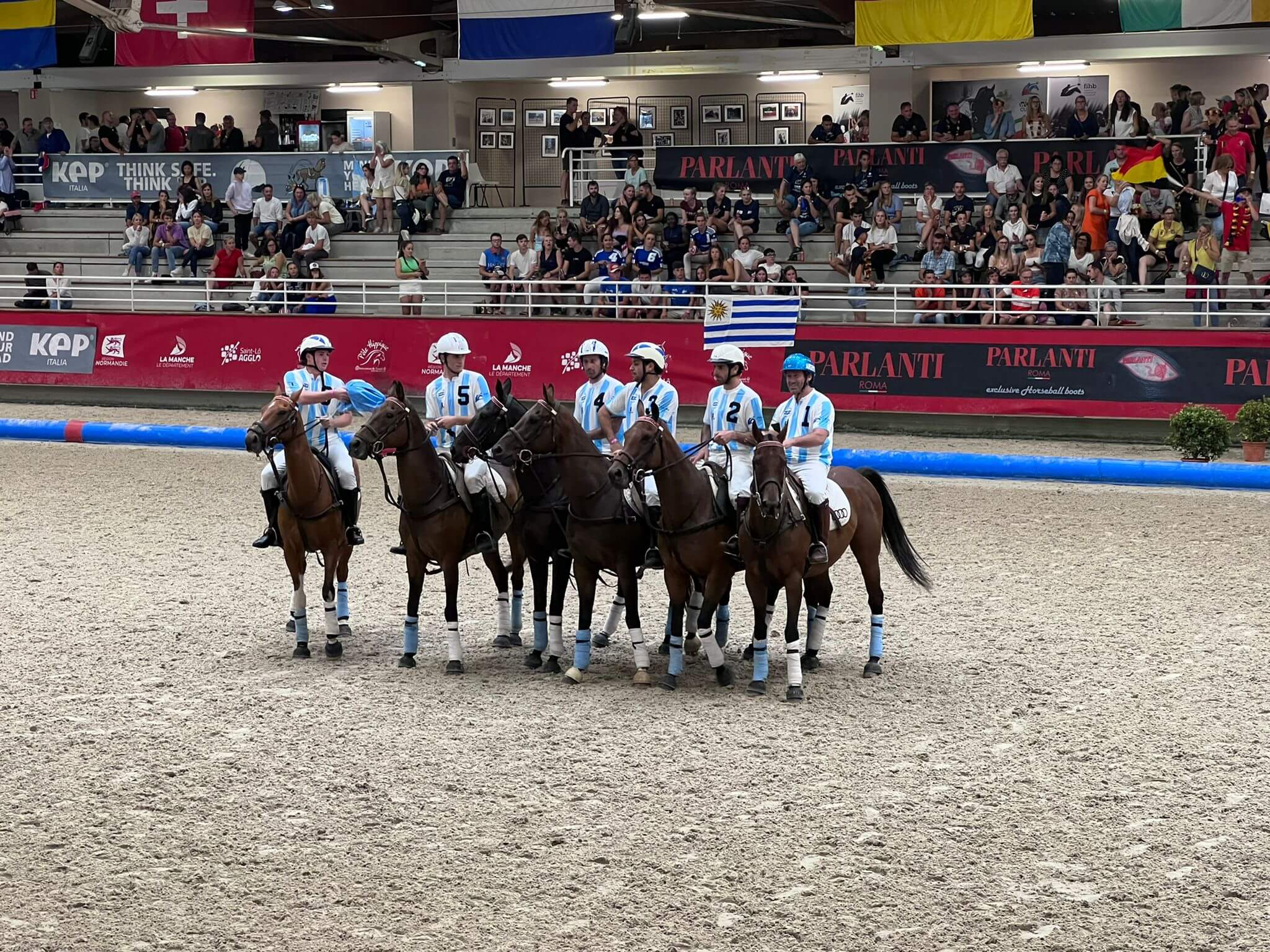 Horseball foto5