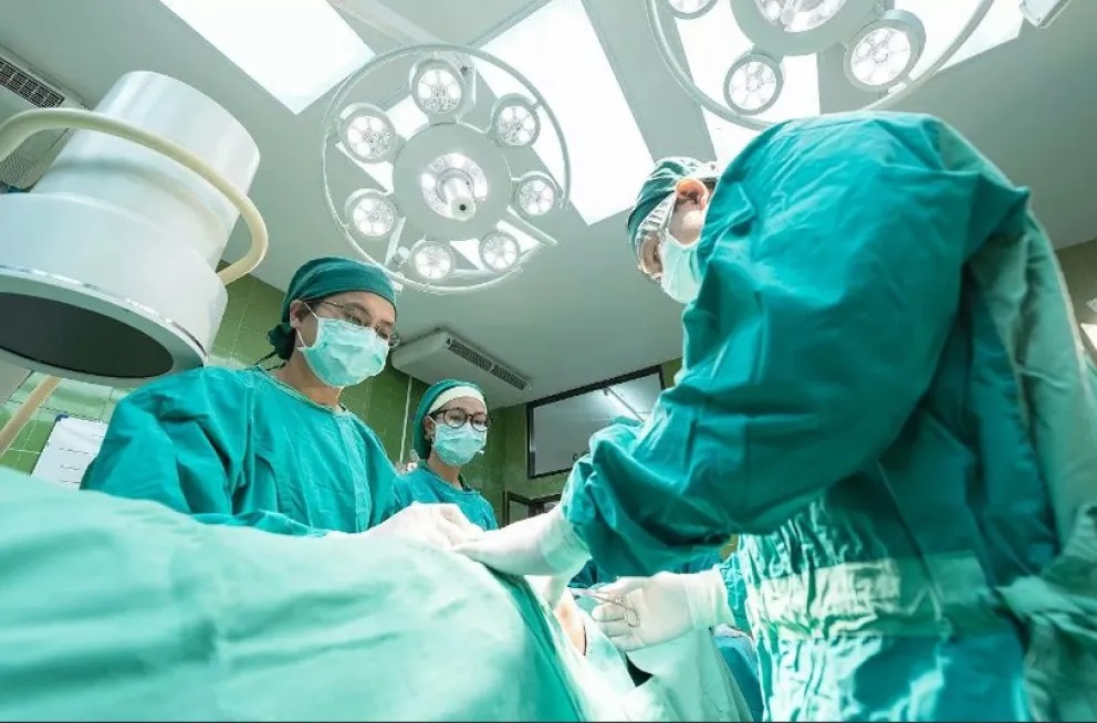 Realizan el primer trasplante de hígado de cerdo modificado genéticamente a una persona
