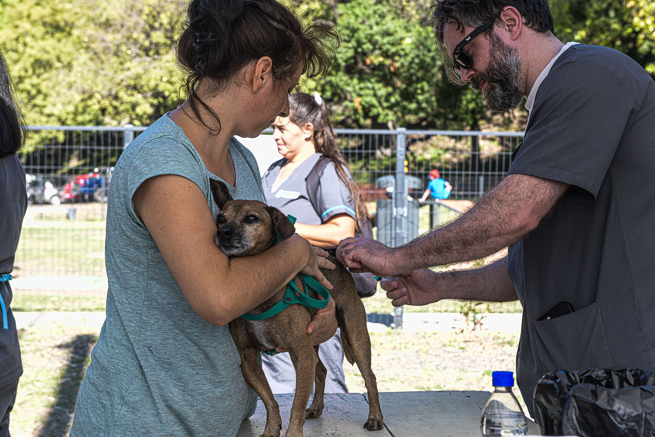 Día del Animal en Paraná: actividades para promover el cuidado responsable