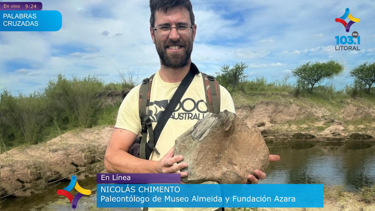 Hallazgo Paleontológico en Las Piedras: Un Nuevo Capítulo para la Historia Natural de Gualeguaychú