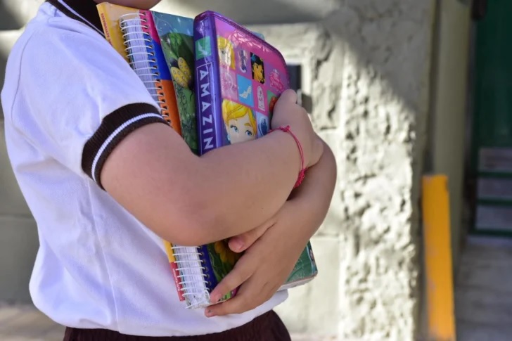 El gobierno dará otra vez vouchers educativos