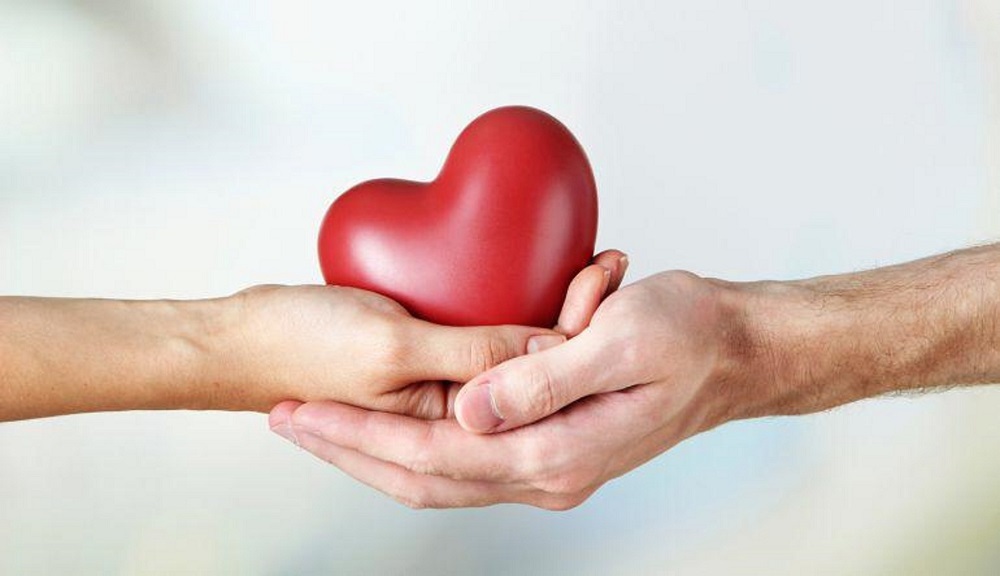 Día Nacional de la Donación de Órganos Día Nacional de la Donación de Órganos