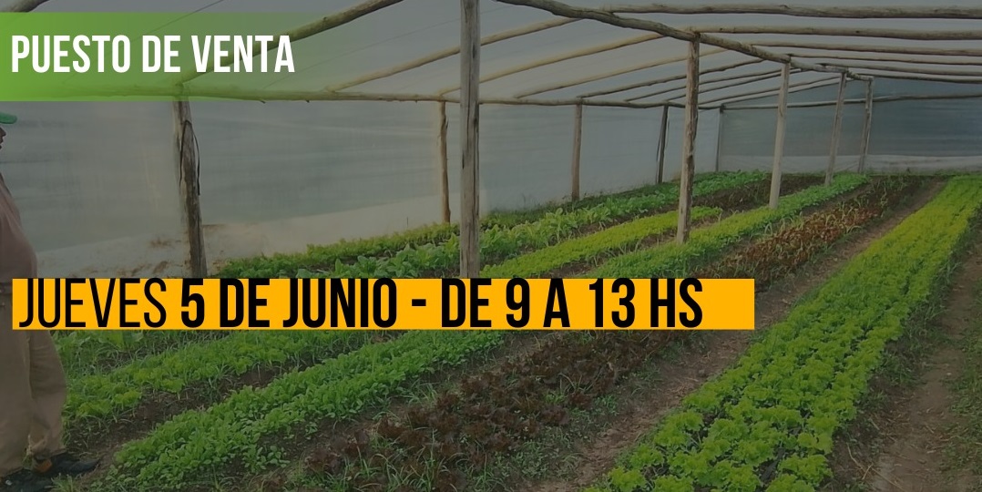 Venderán verduras agroecológicas cultivadas en el Parque Hortícola municipal Oro Verde