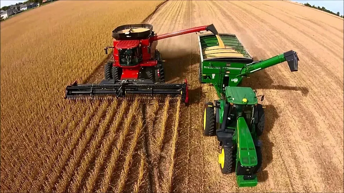 Oficial: bajan las retenciones a las exportaciones de soja, carne, maíz, sorgo y girasol