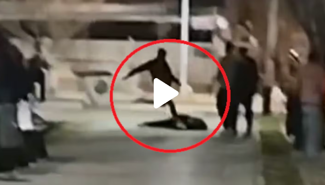 Brutal patada que un policía le pegó a un joven inconsciente en Mendoza Brutal patada que un policía le pegó a un joven inconsciente en Mendoza