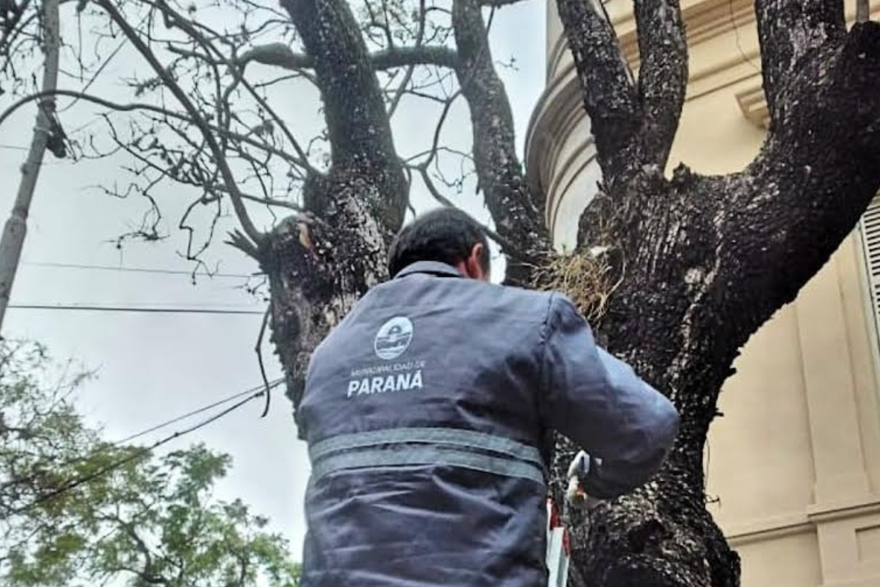 Continúan los controles por cartelería no autorizada en espacios públicos