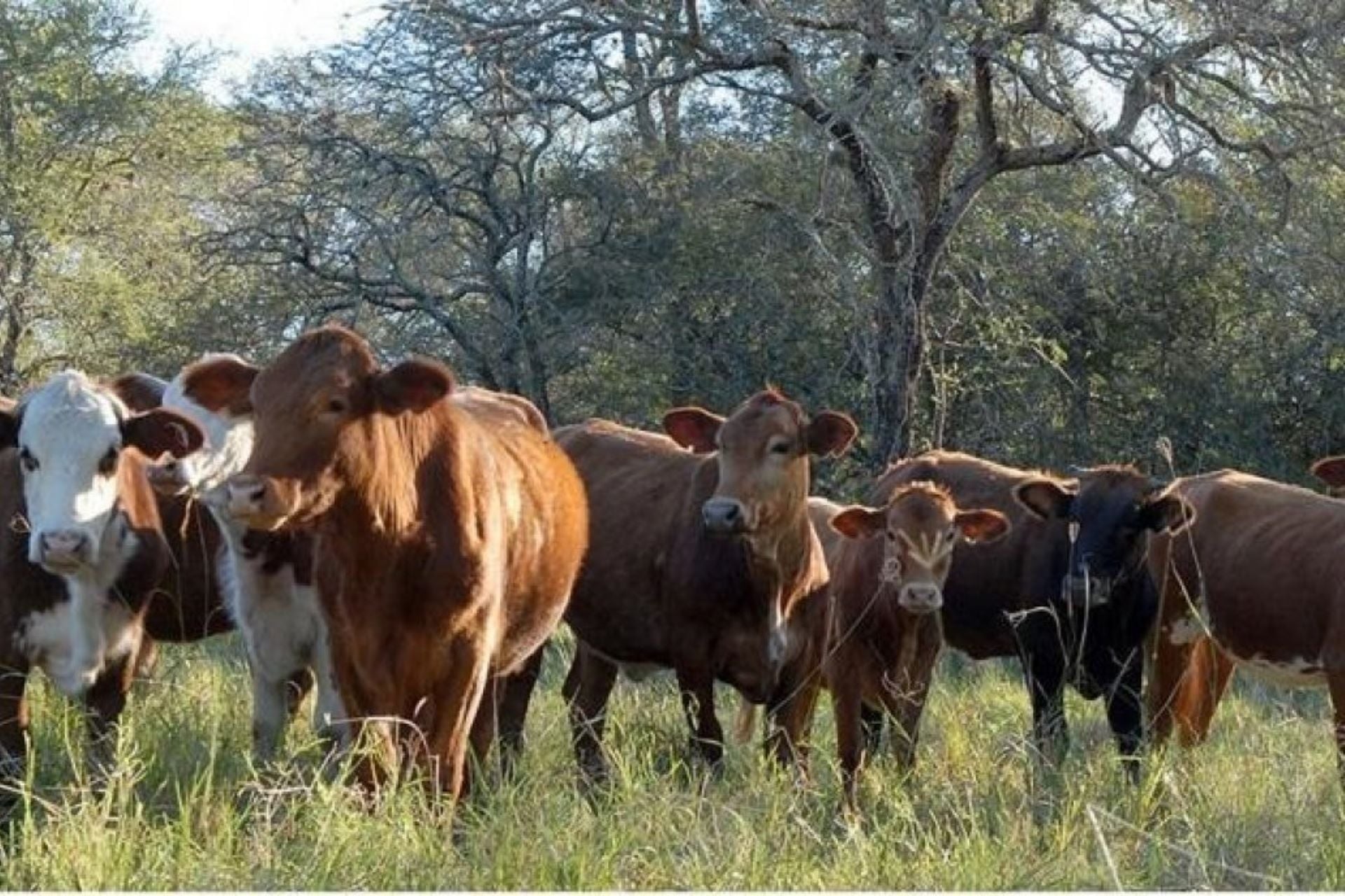 Entre Ríos es la provincia con mayor cantidad de créditos gestionados ante el CFI