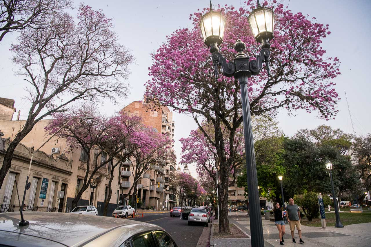 Paraná recibe la primavera con una nutrida agenda de actividades