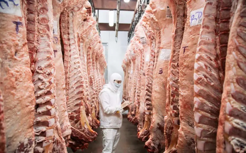 El Gobierno eliminará las retenciones de carnes avícolas y bovinas hasta el 31 de octubre