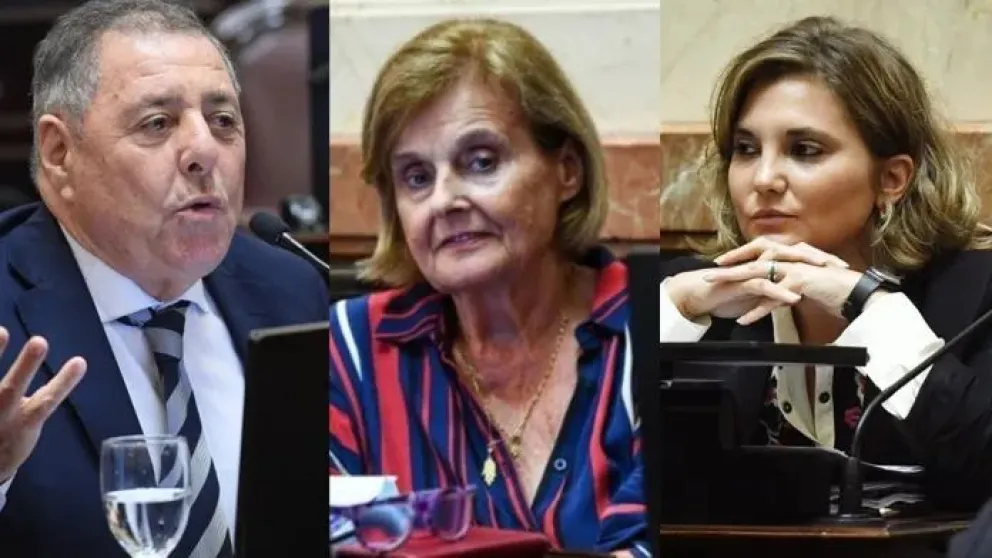 Caída de los vetos a Universidad y Garrahan: No hubo unanimidad en los senadores entrerrianos